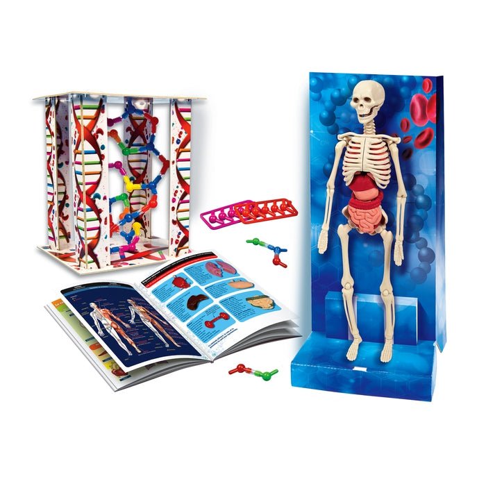 Ciência e Jogo - O Corpo Humano