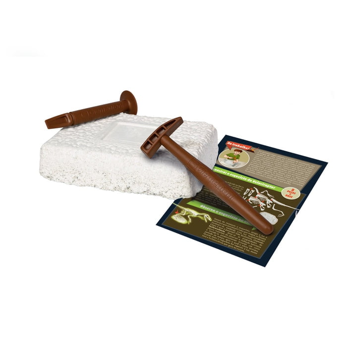 Ciência e Jogo - Velociraptor Arqueologia