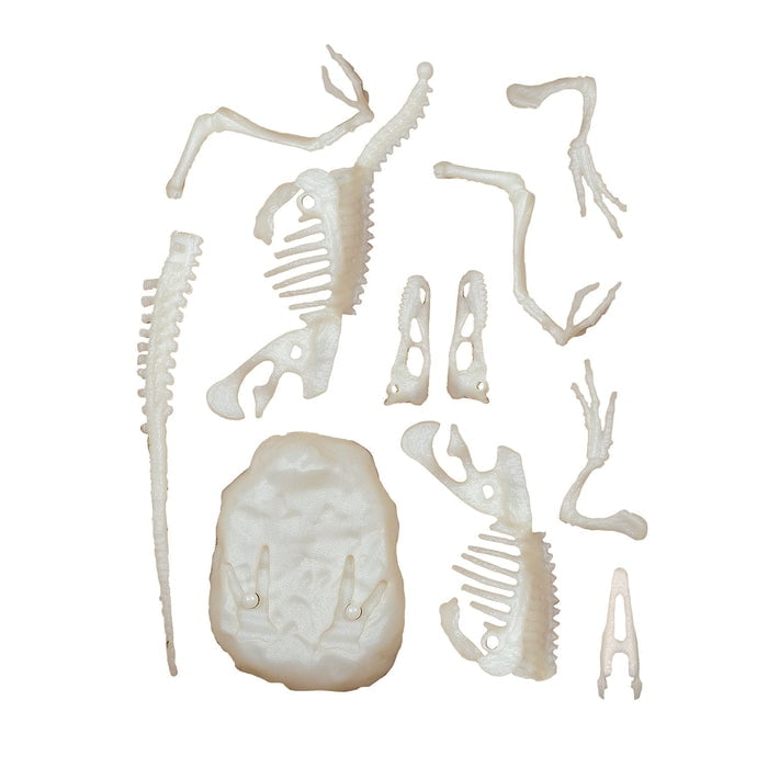 Ciência e Jogo - Velociraptor Arqueologia