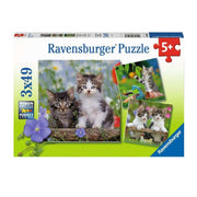 Puzzle Gatinhos - 3x49 pcs